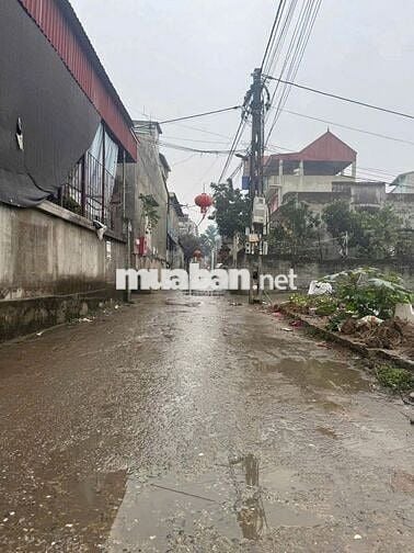 Bán nhanh siêu phẩm lô góc ngã 4, 2 mặt tiền