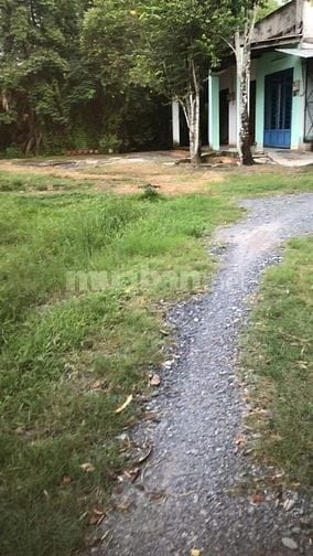 Chính chủ bán đất 2 MT đường Hồ Thị Gừng, Củ Chi
