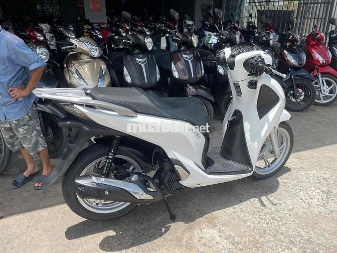 sh 125 2017