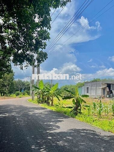 Bán Vườn 3426m2, Giá 750 triệu, thương lượng, Sát trường học An Linh,
