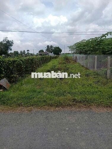 Đất MT Võ Thị Nhúa ngay KCN Tân Phú Trung, 125m2 giá 810tr