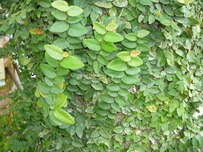 TUYỂN LAO ĐỘNG PHỔ THÔNG ĐI làm ngay