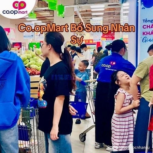 Hệ Thống Siêu Thị Bổ Sung Bán Hàng/Tạp Vụ/ Thư Ngân/Bảo Vệ/Soạn Hàng 