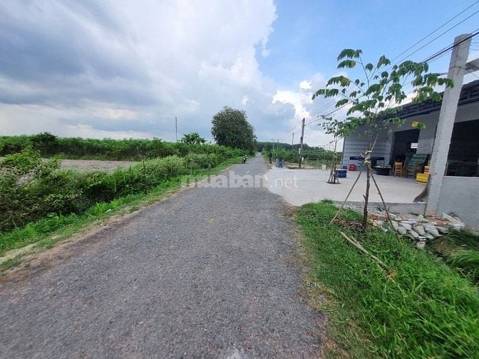 15x145 có thổ cư, đường nhựa, ngay KCN Phước Đông. 240tr (1m) 