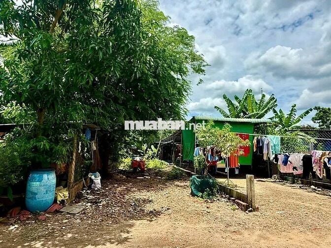 ❗420TR CÔNG CHỨNG LUÔN, LÔ 89M² TT CỦ CHI ANH MINH BÁN GẤP❗