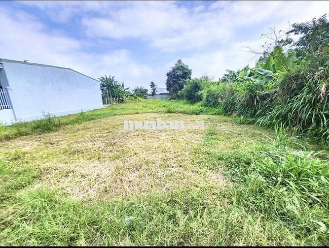 Lô đất MT đường Suối Lội, 5x25 full thổ cư hợp đầu tư giá tốt 800tr