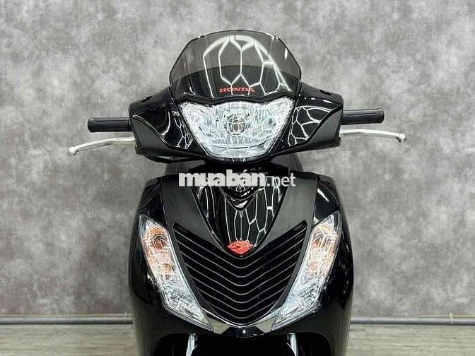 cần tiền ra đi sh 212