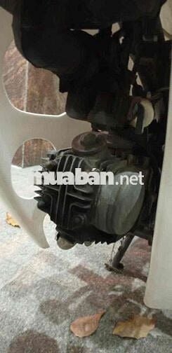 Bán Xe Cúp 81 Cho Học Sinh