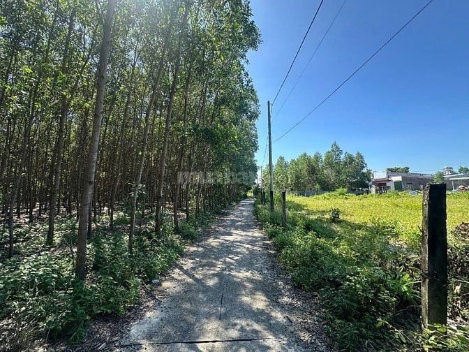 Bán 5x27(135m2) 62m2 Tc Hẻm Lý Nam Đế Tân Phước LaGi Giá 650 Triệu