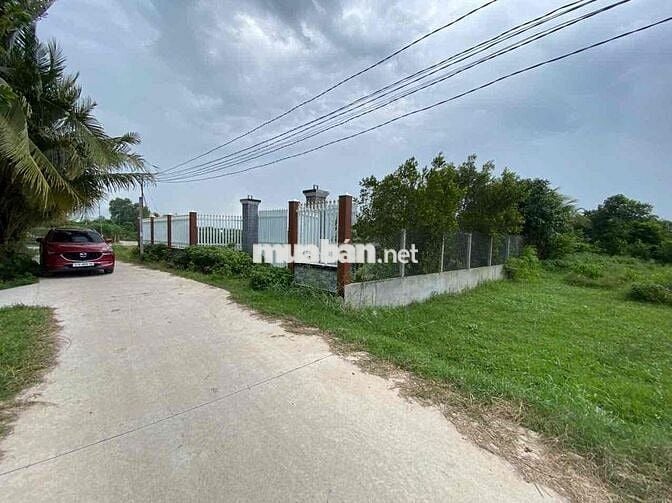 BÁN LÔ ĐẤT LỘC HOÀ 1 LỘC GIANG ĐỨC HOÀ