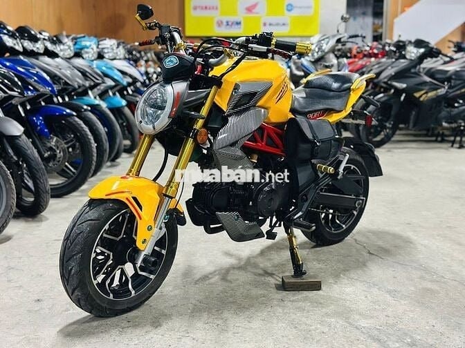 XE MÁYTHANH TÙNG_AGUSTA VÀNG ĐEN CÔN TAY BIỂN 29