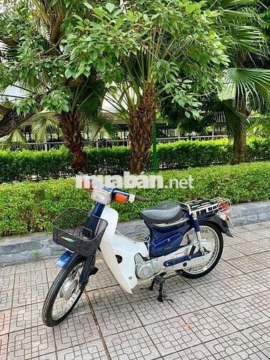 Cúp 82-50 Như mới