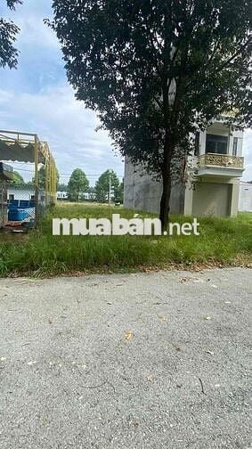 LÔ ĐẤT 150M2(5x30) TTHC BÀU BÀNG GẦN CHỢ ĐÊM BÀU BÀNG ,SHR, MTĐ 8M