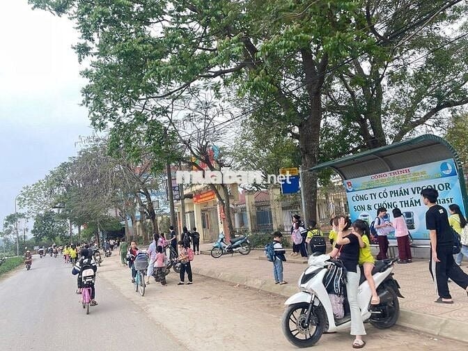 đất chính chủ người nhà cần bán gấp,ac quân tâm ib e hoặc lh 898330698