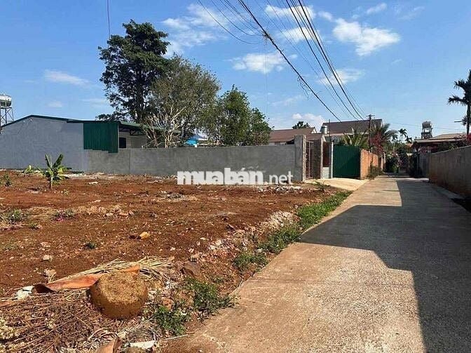 Siêu phẩm hơn 500m2 - Hẻm cấp 1 Mai Thị Lựu gần bv Vùng