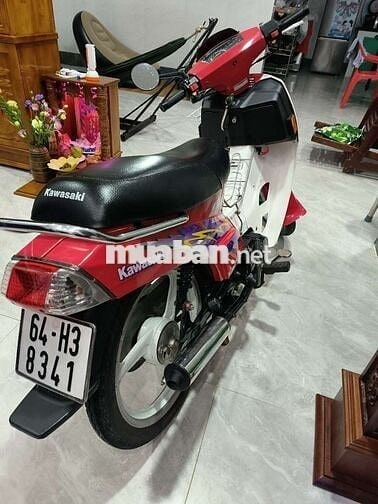Max YMH cọp