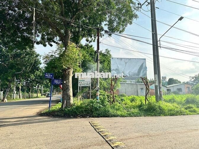 BÁN ĐẤT MẶT TIỀN ĐƯỜNG SỐ 15 HÒA LONG SIÊU NGỘP 164M2/1TY350