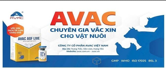 Công ty chúng tôi đang có nhu cầu tuyển dụng vị trí Nhân viên Thủ Kho
