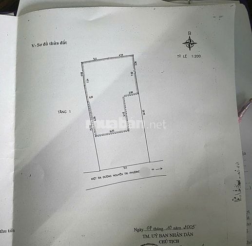 BÁN GẤP LÔ ĐẤT ĐẸP KIỆT Ô TÔ NGUYỄN TRI PHƯƠNG, DIỆN TÍCH LỚN