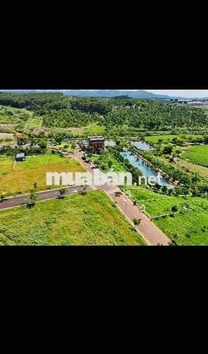 Ngợp 165m2 thổ cư ngay hồ Bảo Lộc, kế homestay giá 950tr