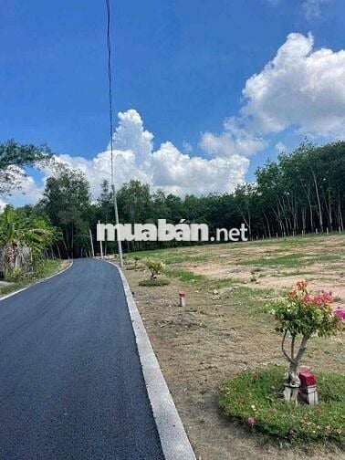 Đất trung tâm TPHCM đường nhựa kinh doanh giá chỉ 290tr hỗ trợ bank