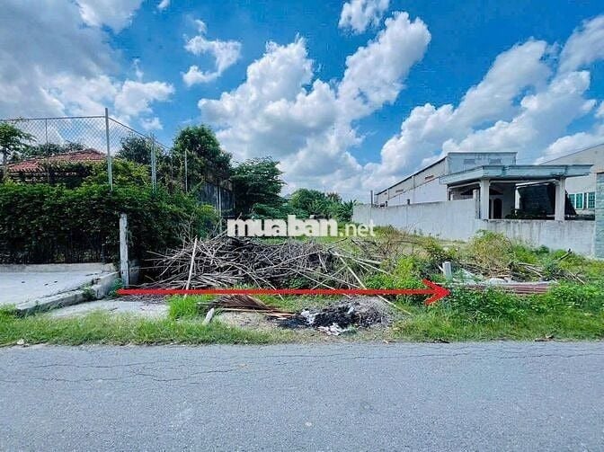 BÁN DÙM CHÚ NĂM LÔ ĐẤT SÁT CHỢ TÂN THÔNG HỘI CỦ CHI - 590 TRIỆU