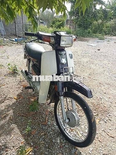 Dream 50phân khối ko cần bằng lái giá tốt cho HSSV