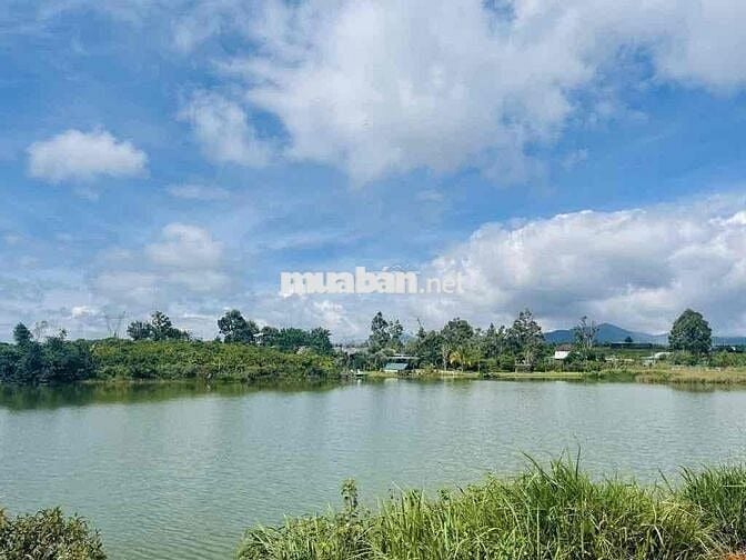 View hồ Mai Thành - Phường Lộc Tiến- TP.Bảo Lộc DT 21x58m quy hoạch TC