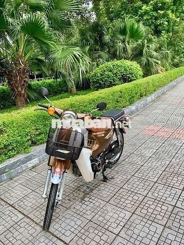 Cúp 50 Phân khối như mới