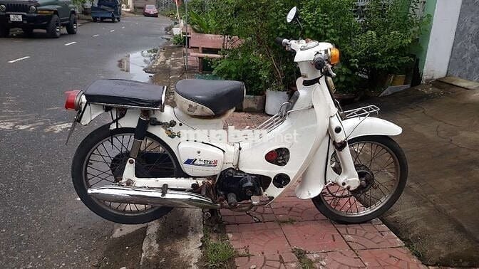 50c ko cần bằng lái