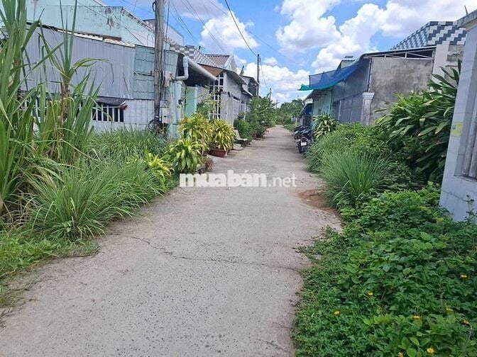 Bán đất thổ cư hẻm dal 5m, hạ tầng đầy đủ