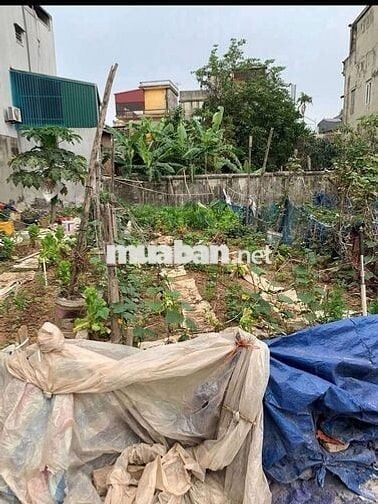 MẢNH ĐSÁT ĐẸP NAM PHÙ ĐÔNG MỸ- DT65M, Ô TÔ 7 CHỖ TRƯỚC ĐẤT 4M, 4.35 TỶ
