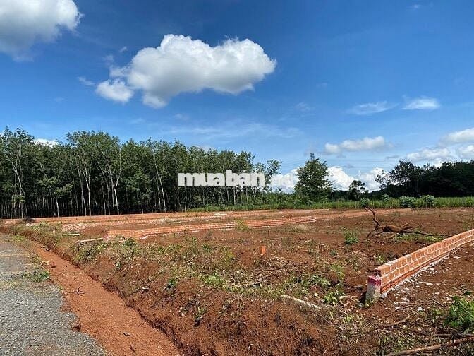 Đất nền sẵn sổ 390m2 mặt tiền đường, Long Hà, Phú Riềng, Bình Phước