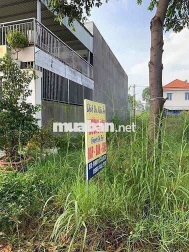 BÁN ĐẤT MẶT TIỀN ĐƯỜNG CHỢ MỸ PHƯỚC 3, THỚI HOÀ, BẾN CÁT, BD