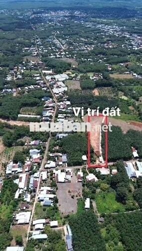 Bán đất 300m vuông có 100m thổ cư ( phủ hồng toàn bộ ) giá tổng 438tr