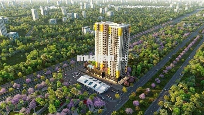 Bcons Asahi - Căn hộ Nhật Bản chỉ từ 41 triệu/m2