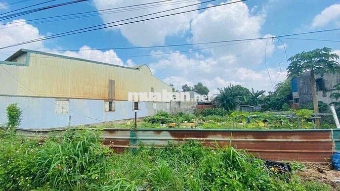 Đất mặt tiền đường Tân Hiệp, phường Tân Bình, Tp Dĩ An