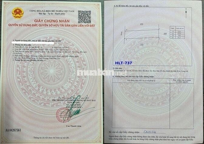 Bán đất thổ cư tại KCN Tam Dương, Vĩnh Phúc