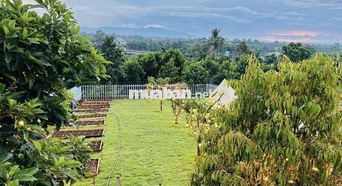 Cần tiền gấp bán lỗ lại lô 515m2 view đồi giá 600tr