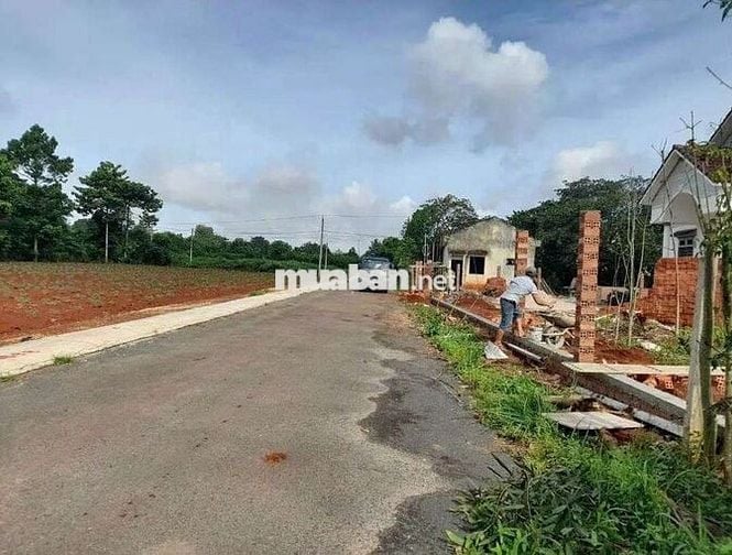 Bán lô đất đg nhựa thông rộng 7m p.hắc dịch phú mỹ,dt:5x39 giá 920tr