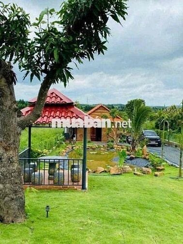 cần bán  căn nhà nghĩ dưỡng 2600m2 giá rẻ
