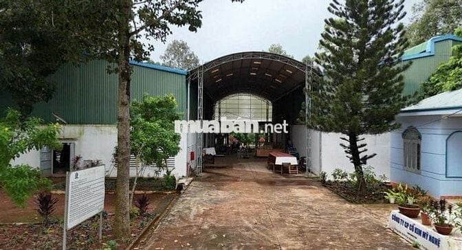 Chuyển nhượng nhà xưởng gắn liền với đất nhà nước cấp sổ.