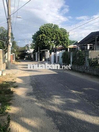 181m2 Hoà Châu đường nhựa7m khu vực KD vị trí đẹp