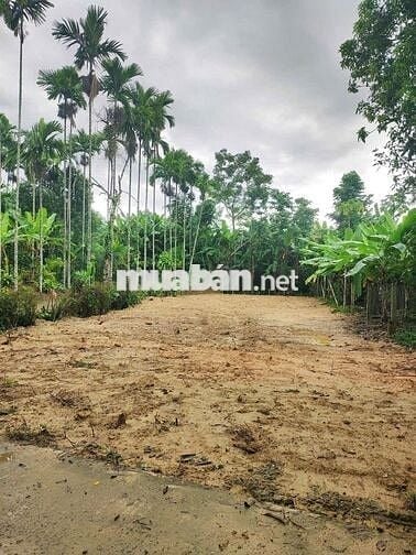 ĐẤT VƯỜN/NHÀ Ở VỊ TRÍ 2 MẶT TIỀN 330m2–THÔN DIÊU PHONG, BÀ NÀ, ĐÀ NẴNG