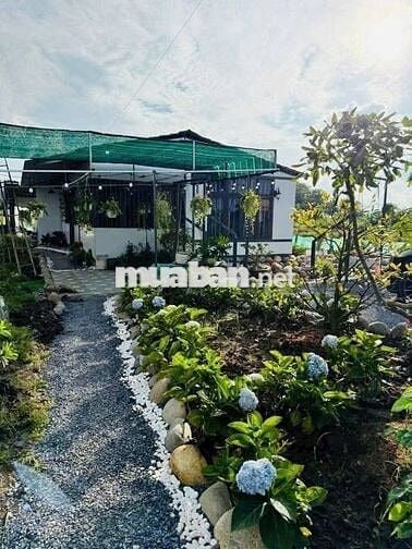 Siêu phẩm đất nghỉ dưỡng tại Định Quán – cơ hội không thể bỏ lỡ!