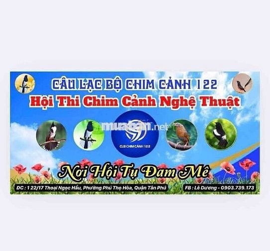 Mặt Bằng Kinh Doanh Cafe Chim Cảnh
