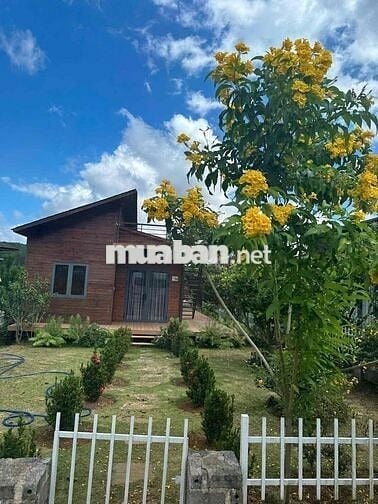 🔥Nóng 🔥 Chính chủ cần bán gấp lô đất 400m2 có sẵn căn nhà nghỉ duỡng