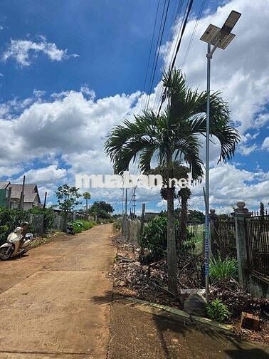 ĐẤT ĐẸP FULL THỔ CƯ GẦN CHỢ TÂN HỘI - LÂM ĐỒNG