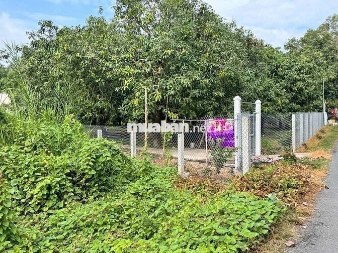 ĐẤT CHÍNH CHỦ CẦN BÁN GẤP 4.229 m2 TẠI LỤC SĨ THÀNH, TRÀ ÔN, VĨNH LONG