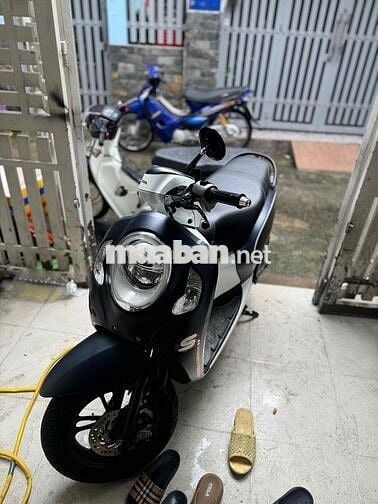 Scoopy 2023 Smk bstp chính chủ - xe đẹp